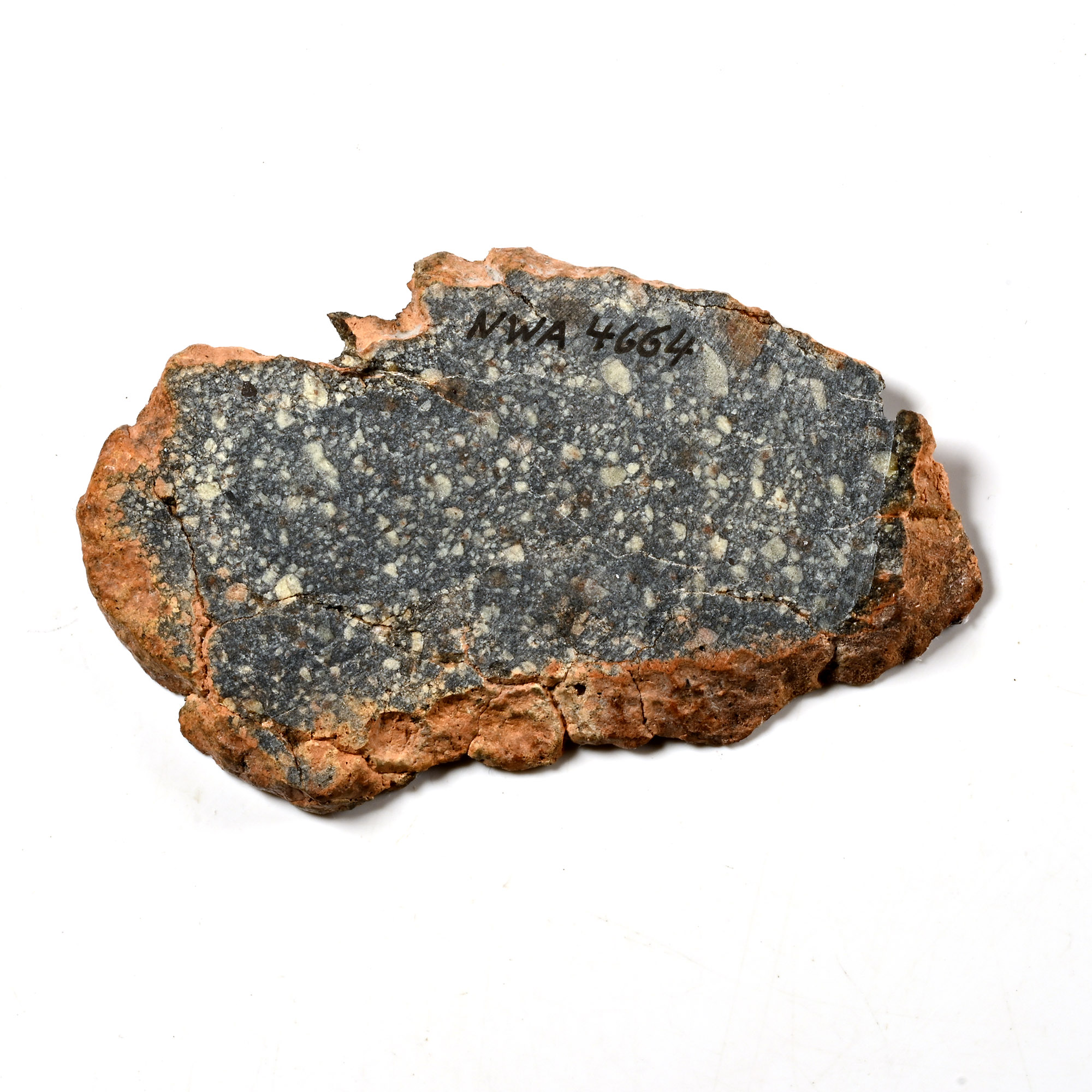 Natural History - Diogenite NWA 4664 Meteorite Slice